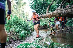 BIB: 
                            <button type="button" onclick="openModal(25476211)" class="btn btn-primary btn-sm float-right btn-popup" data-toggle="modal" data-target=".modal-high-quality">
                        <i class="fas fa-shopping-cart"></i> Add to Cart
                    </button>
                                            <button type="button" onclick="isThisMe(25476211, true)" class="btn btn-success btn-sm float-right btn-popup btn-isme hidden" data-toggle="tooltip" data-placement="bottom" title="นี่คือรูปของคุณใช่ไหม คลิกที่นี่เพื่อเอาเข้าอัลบั้ม">
                        <i class="fas fa-plus"></i> Add to album
                    </button>
                    <button type="button" onclick="isThisMe(25476211, false)" class="btn btn-warning btn-sm float-right btn-popup btn-isnotme hidden">
                        <i class="fas fa-ban"></i> Remove from album
                    </button>